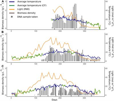 Functional Diversity Facilitates Stability Under Environmental Changes in an Outdoor Microalgal Cultivation System